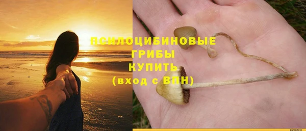 не бодяженный Зерноград