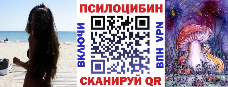 Псилоцибиновые грибы Cubensis  где продают   Купино 
